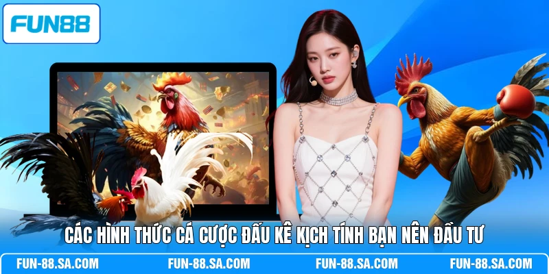 Các hình thức cá cược đấu kê kịch tính bạn nên đầu tư