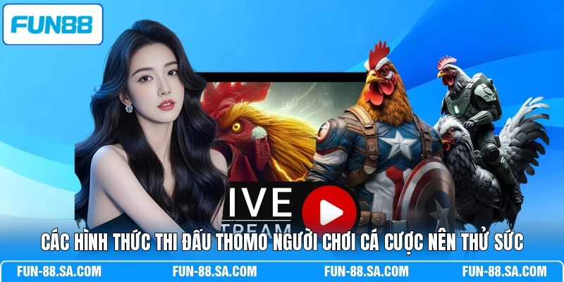 Các hình thức thi đấu Thomo người chơi cá cược nên thử sức