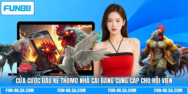 Cửa cược đấu kê Thomo nhà cái đang cung cấp cho hội viên