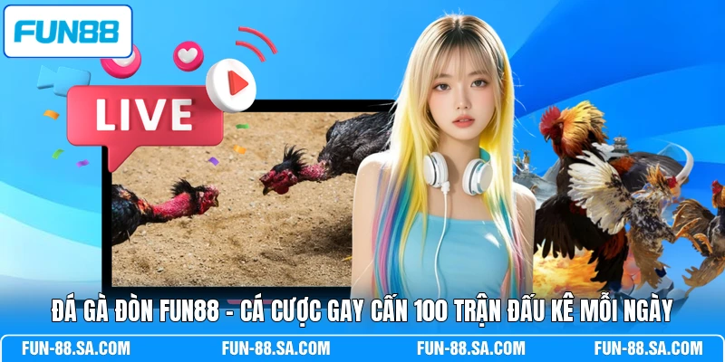 Đá Gà Đòn