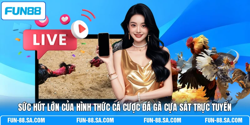 Sức hút lớn của hình thức cá cược đá gà cựa sắt trực tuyến