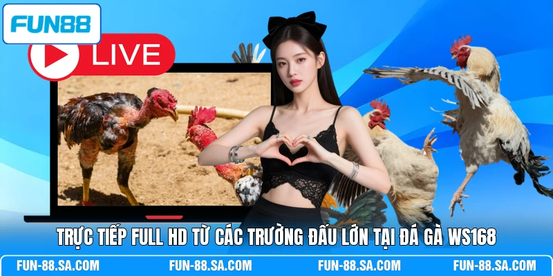Trực tiếp full HD từ các trường đấu lớn tại đá gà WS168